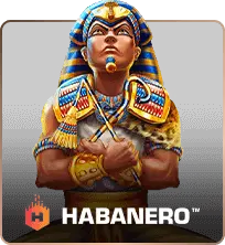 RTP Habanero Slot