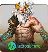 RTP MicroGaming Slot